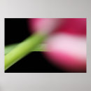 Search for hide posters Flowers