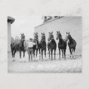 Recherche de présentateur cartes postales Vintage