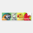 Search for feathers bumper stickers Nature