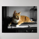 Search for computer humor posters Cat