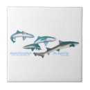 Recherche de requin carreaux Animal