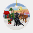 Search for flat coated retriever ornaments Dogs