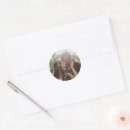 Search for create your own photo stickers Couple