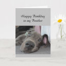 Search for a brother dog birthday birthday cards Funny