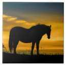 Search for mustang tiles Wild horse