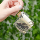 Search for dinosaur keychains Cretaceous