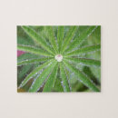 Search for sphere puzzles Leaves