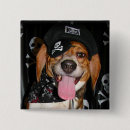 Recherche de chien de beagle badges Chiens