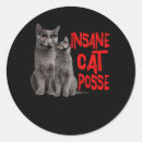Search for insane stickers Cat
