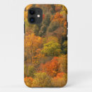 Search for fall foliage cases Orange
