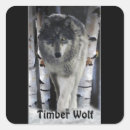 Search for timber wolf stickers Canines