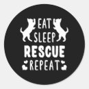 Search for cat adoption stickers Kittens