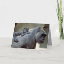 Recherche de monkeys photographie Nature