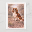 Search for king postcards Pet