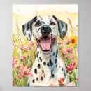 Recherche de dalmatien art Dog