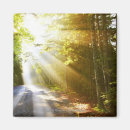 Search for forest park magnets Outdoors