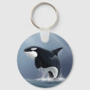 Search for orca keychains Dolphin