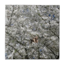 Recherche de blossom carreaux Printemps