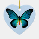 Search for blue butterfly ornaments Moth