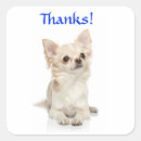 Search for long haired chihuahua stickers Puppies