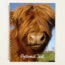 Search for scottish highland cattle office supplies Scotland
