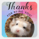 Search for cute hamster stickers Furry