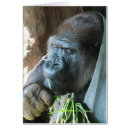 Recherche de ape vœux cartes Singe