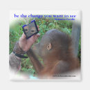 Search for mirror magnets Motivational
