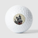 Search for scottish golf balls Dog