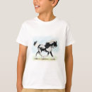 Search for gypsy vanner clothing Stallion