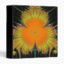 Search for fractals avery binders Abstract