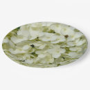 Search for hydrangea plates Floral