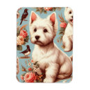 Search for highlander magnets Dog