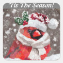 Search for birds with hats stickers Cardinal