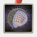 Search for virus ornaments Small business
