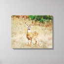 Search for wild deer canvas prints Animal