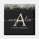 Search for holographic magnets Trendy