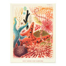 Search for marine biology posters Illustration