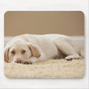 Search for innocent mousepads Innocence
