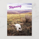 Recherche de béquilles cartes postales Vache