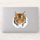 Search for bangle Tiger