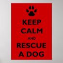 Recherche de adoptez posters Animaux familiers
