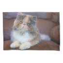 Search for pets pillowcases Calico