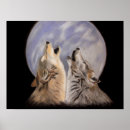 Recherche de copie de loup posters Animal