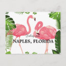 Recherche de salutations de la floride cartes postales Naples