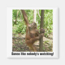 Recherche de vous aiment magnets Animal