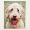 Search for smile planners Pet