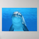 Recherche de le face posters Mammifère