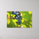 Search for grapevine art Fruit