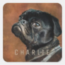 Search for black pugs stickers Pet
